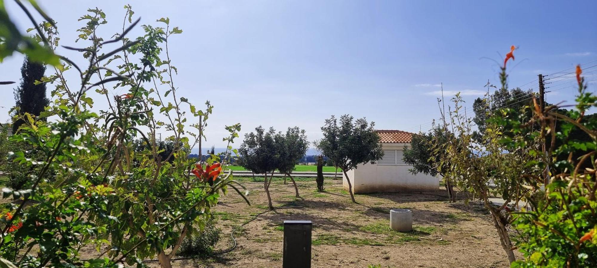 Shanti Paphos Villa מראה חיצוני תמונה