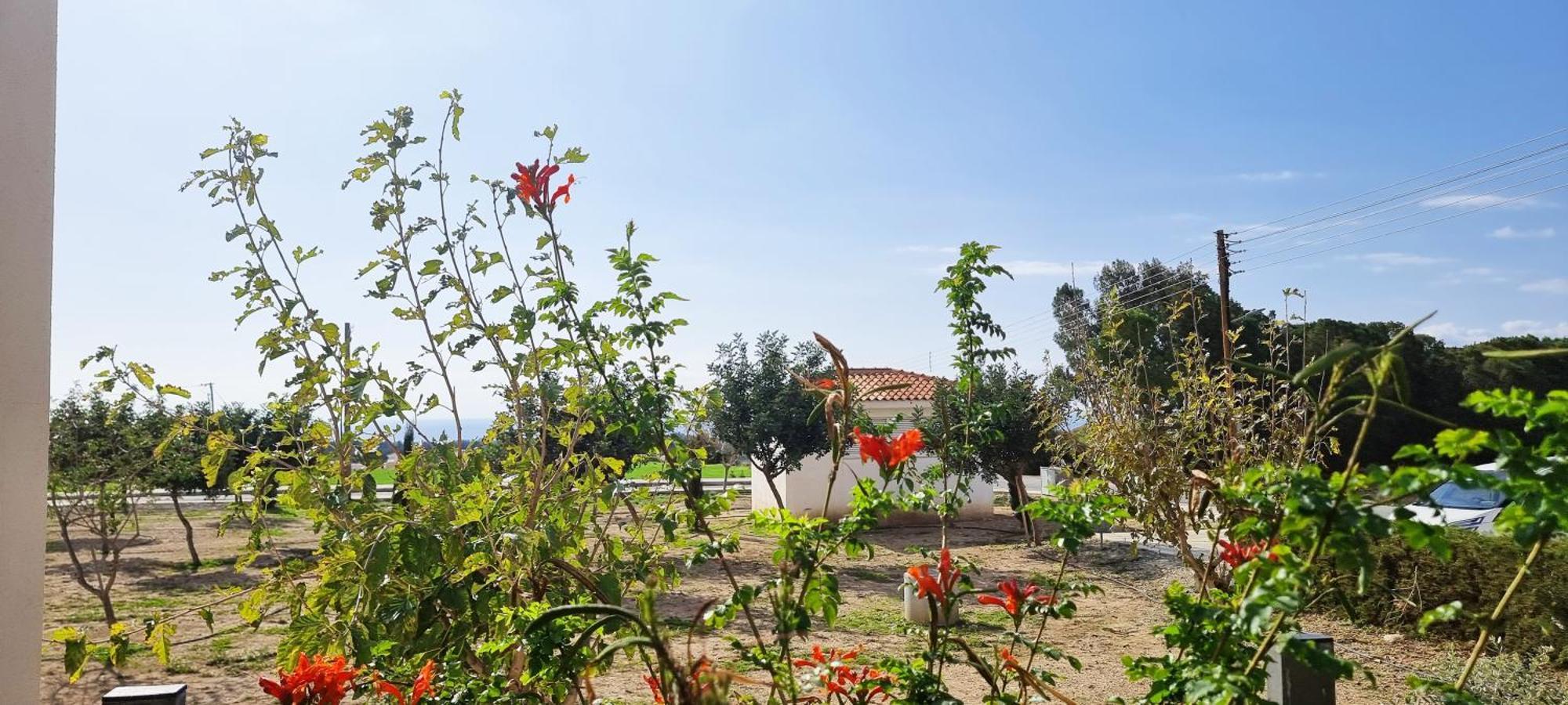 Shanti Paphos Villa מראה חיצוני תמונה