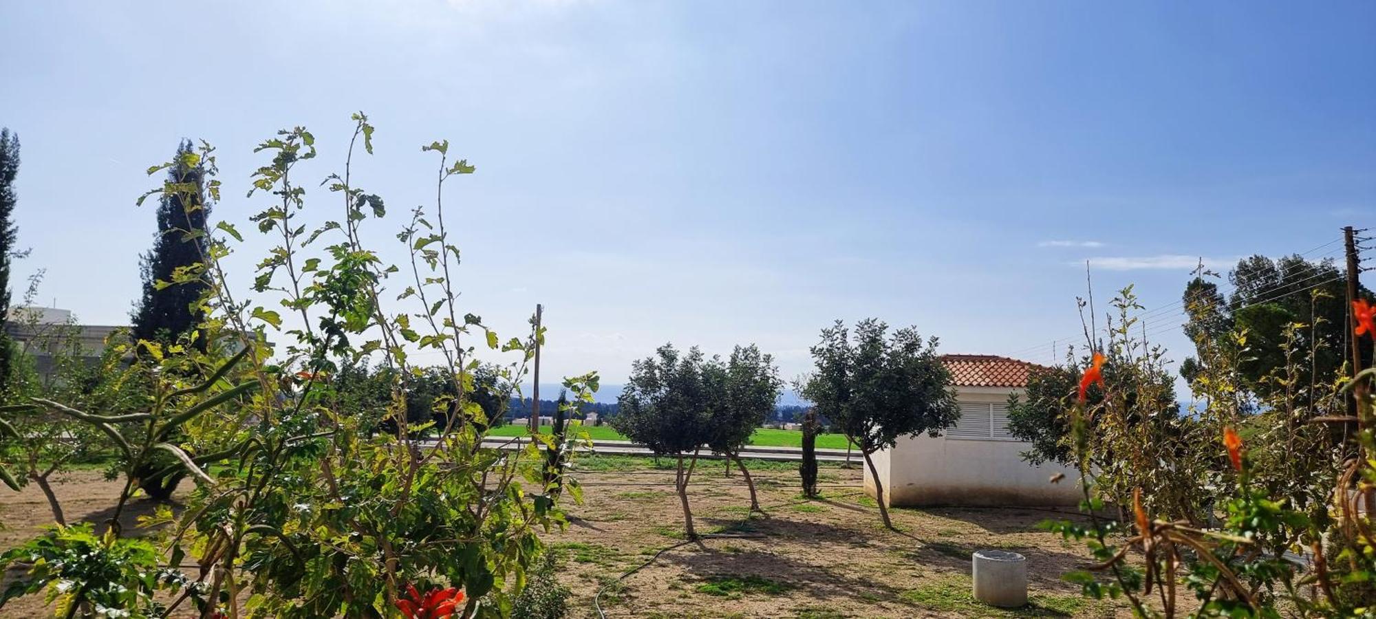 Shanti Paphos Villa מראה חיצוני תמונה
